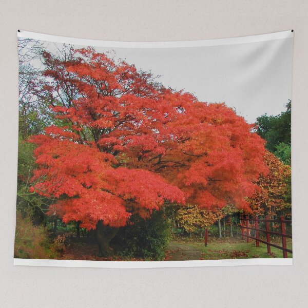 Item preview, Maple Tree designed and sold by AnnDixon.