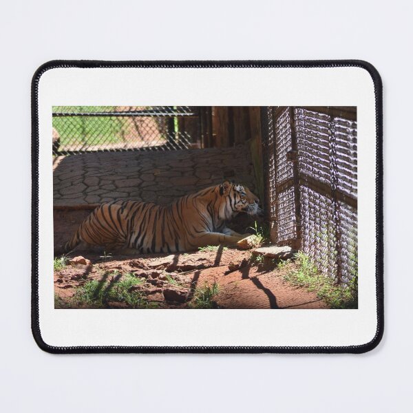 Item preview, Tiger designed and sold by MarieDarcy97.