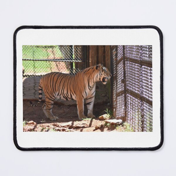 Item preview, Tiger designed and sold by MarieDarcy97.
