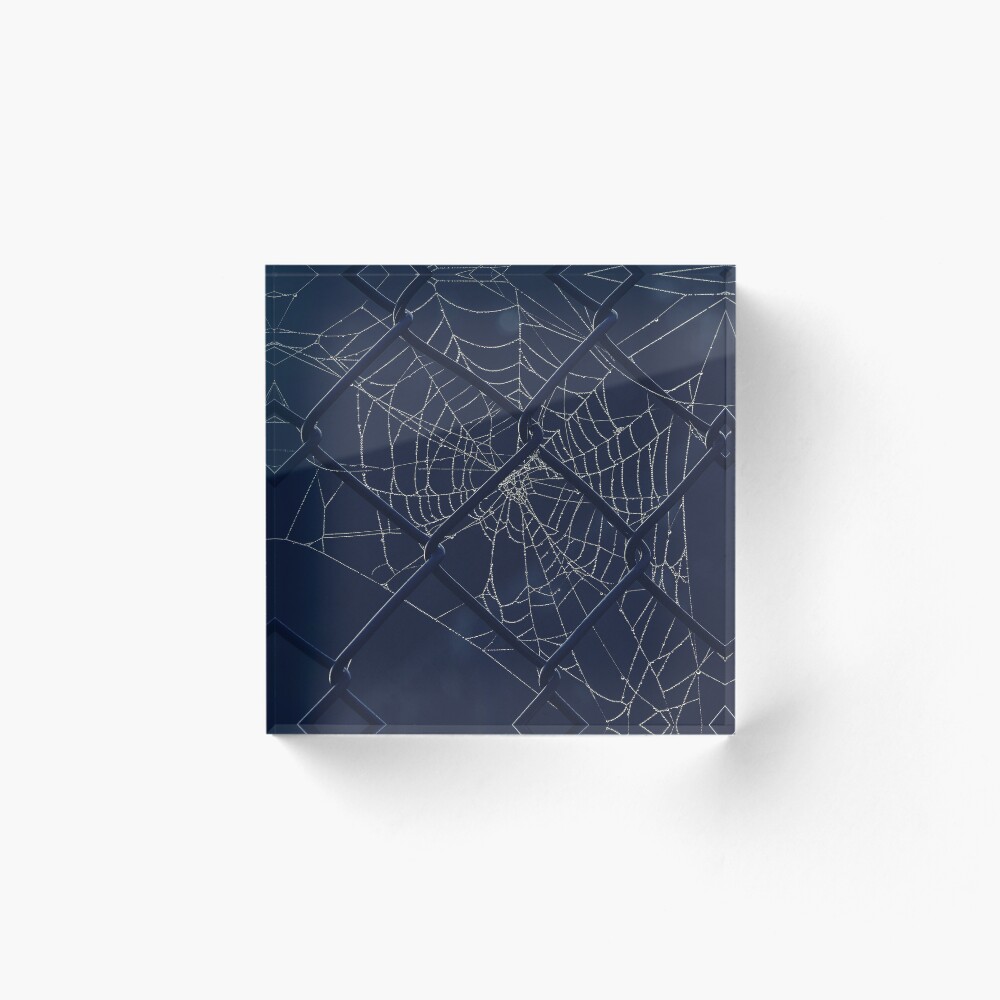 Item preview, Acrylic Block designed and sold by PhytonJava.