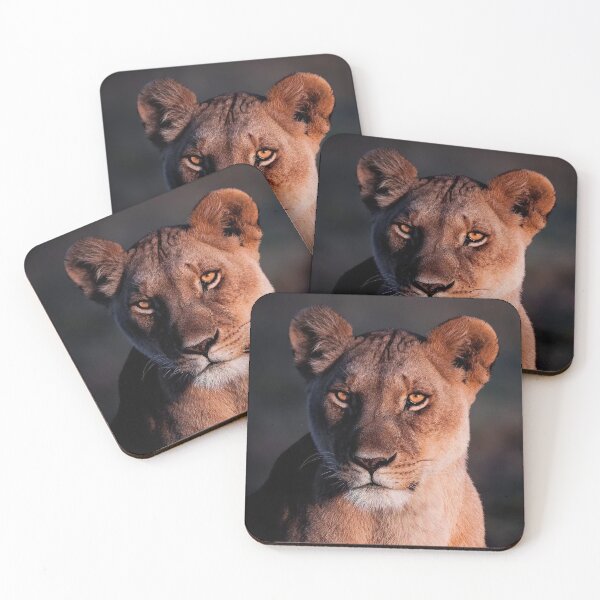 Item preview, Lioness designed and sold by MorningFive.