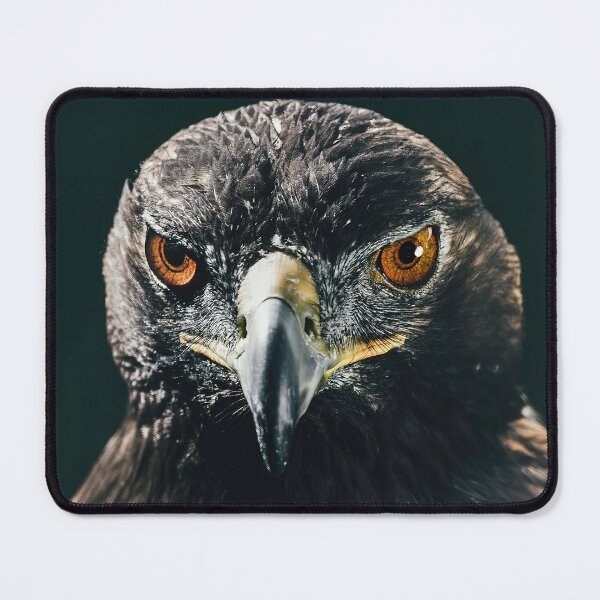 Item preview, Eagle designed and sold by MorningFive.