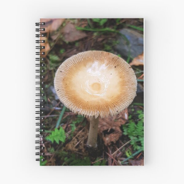 Item preview, Edible 'shroom designed and sold by StudioNonoa.