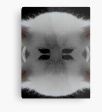 cat Metal Print