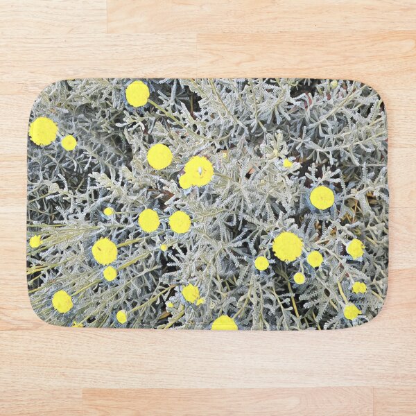 Artikelvorschau, Baumwolllavendel Gelbe Blumen Santolina chamaecyparissus entworfen und verkauft von TastyTonic.