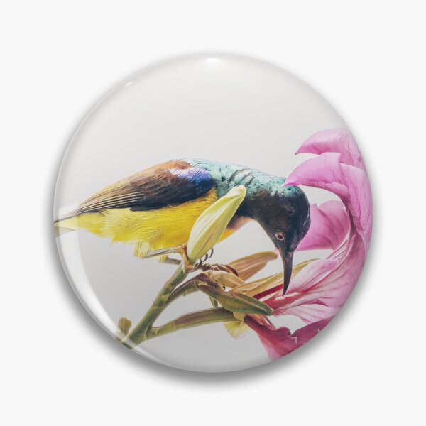 Item preview, Sunbird on a flower designed and sold by justmylup.