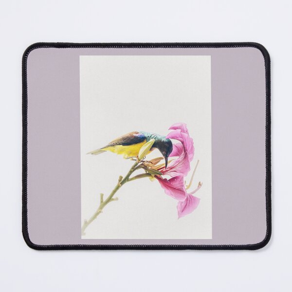 Item preview, Sunbird on a flower designed and sold by justmylup.