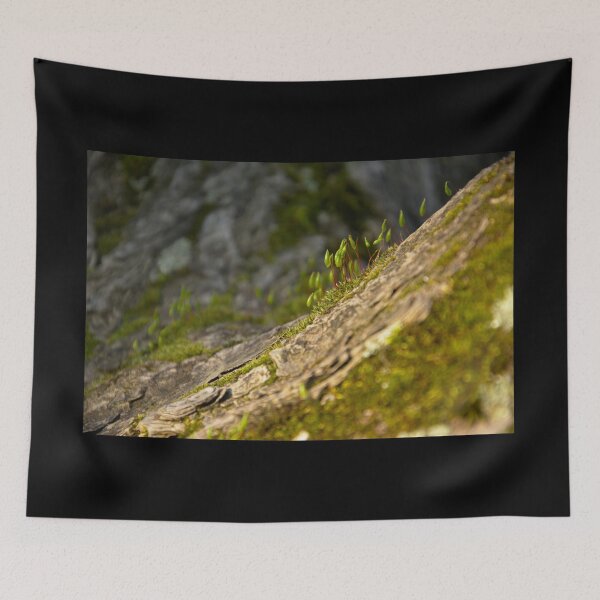 Item preview, Mousse designed and sold by AutourDuFeu.