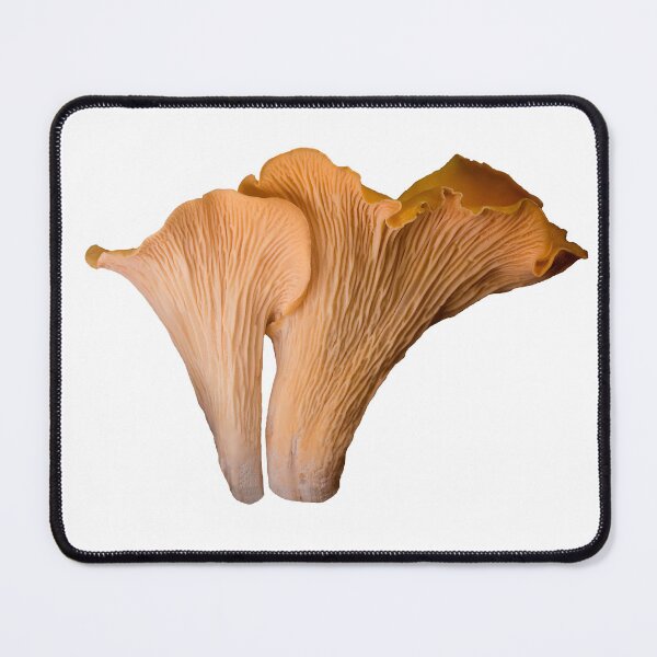 Item preview, Chanterelles designed and sold by Jules Amanita | Mushroom Queer.