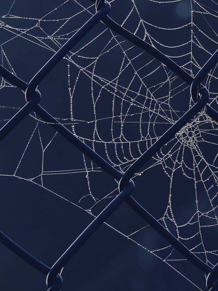 Thumbnail 4 of 4, Samsung Galaxy Phone Case, Spiderweb designed and sold by PhytonJava.