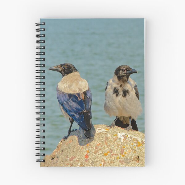 Item preview, Couple of black crows on a rock next to the sea designed and sold by xophotography.