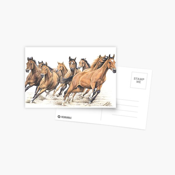 Trakehner Horses Postcard