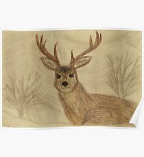 Reindeer in the Snow Poster