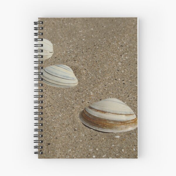 Item preview, Three Shells West Sands designed and sold by Adrian Wale.
