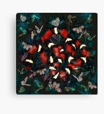 Lampropeltis triangulum elapsoides illustration. Canvas Print