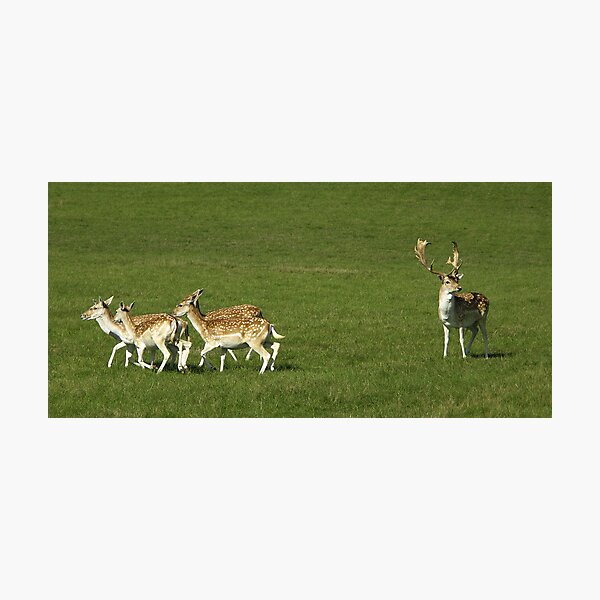 Le garde du corps - France Impression photo