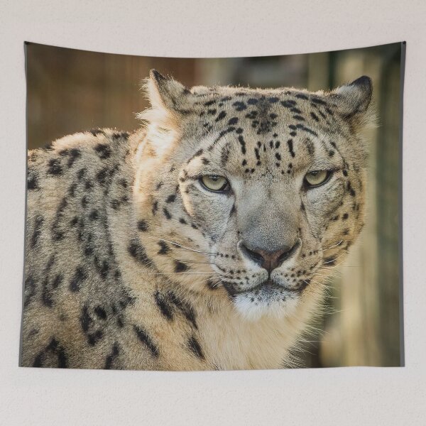 Item preview, Irbis, Snow Leopard designed and sold by MorningFive.