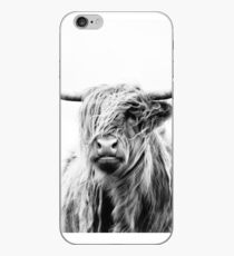 portrait of a highland cow (landscape format) iPhone Case