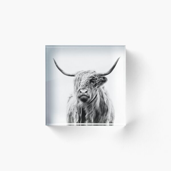 Item preview, retrato de una vaca de las tierras altas (formato apaisado) designed and sold by Dorit Fuhg.