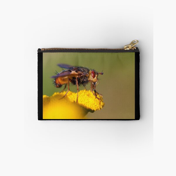 Item preview, Fly designed and sold by Erik Schlogl.
