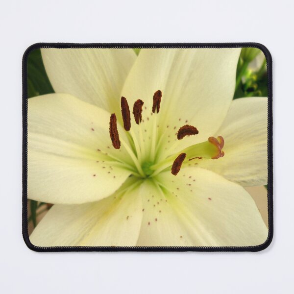 Item preview, White Birthday Lilly designed and sold by Angela Gannicott.
