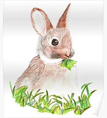 Love The Bunny! Poster