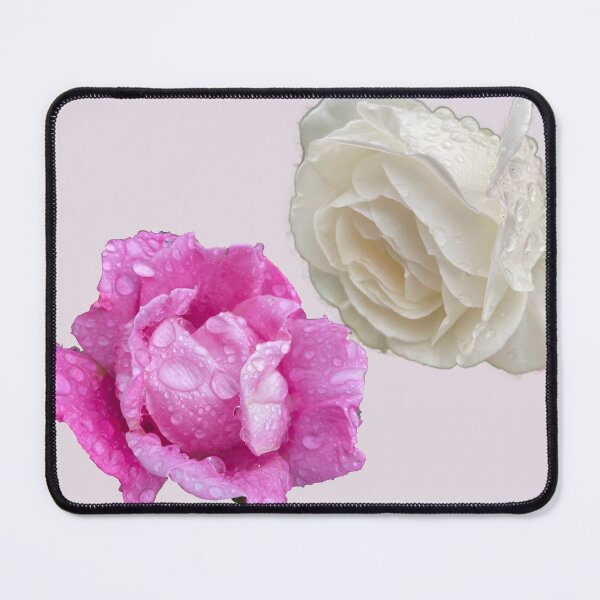 Item preview, Pink and white roses designed and sold by indiafrankk.