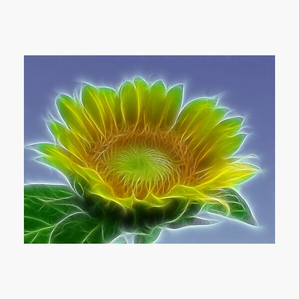 Item preview, Sunflower designed and sold by Marie Terry.