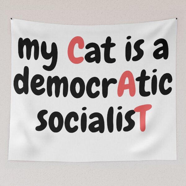 Item preview, my cat is a democratic socialist : meme cat designed and sold by MokonoKokoro.