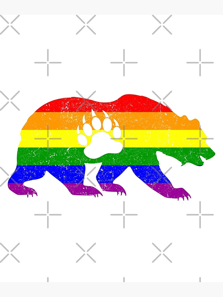 Bear Cub Gay Pride Flag Colors Culture LGBT Young T-Shirt