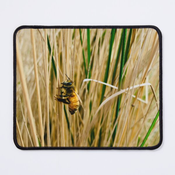 Item preview, bee in the grass designed and sold by LettuceBe.