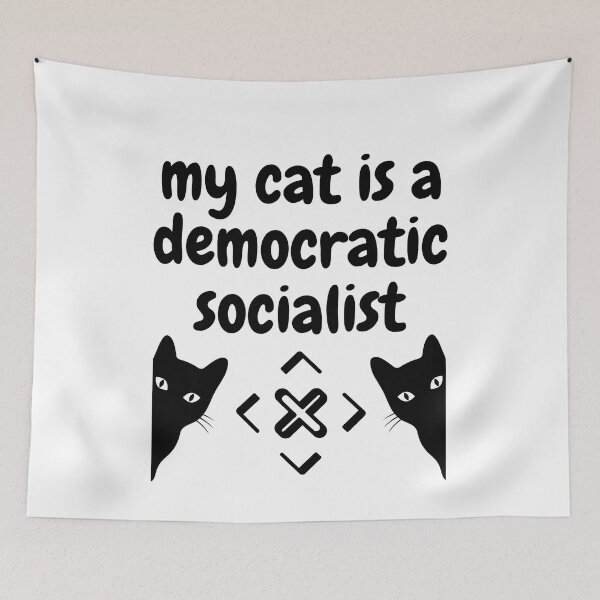 Item preview, my cat is a democratic socialist : meme cat designed and sold by MokonoKokoro.