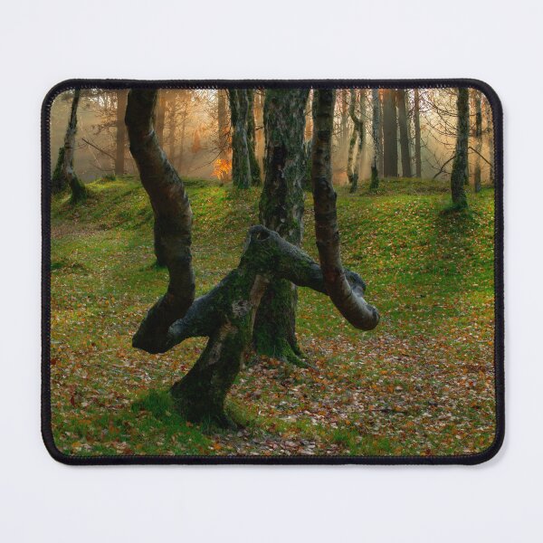 Item preview, Bolehill Wood Sunset designed and sold by Alisonchambers2.
