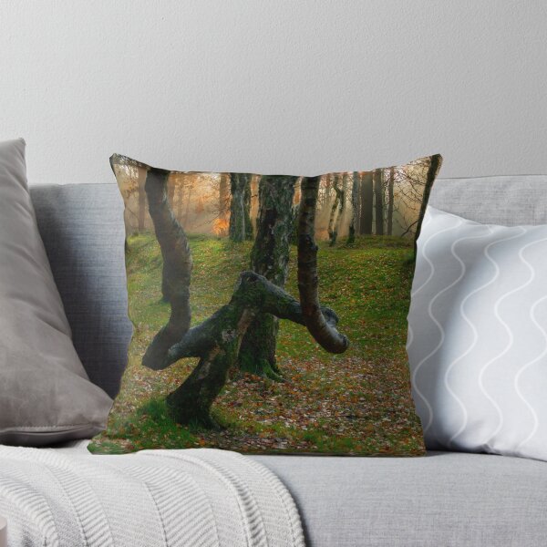 Item preview, Bolehill Wood Sunset designed and sold by Alisonchambers2.