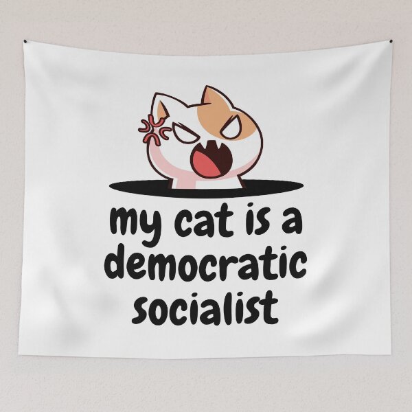 Item preview, my cat is a democratic socialist : meme cat designed and sold by MokonoKokoro.