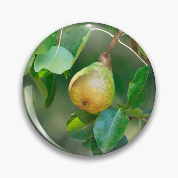 Item preview, Yellow pears on green tree designed and sold by olena2552.