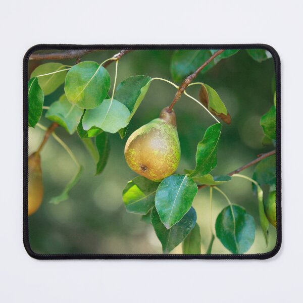 Item preview, Yellow pears on green tree designed and sold by olena2552.