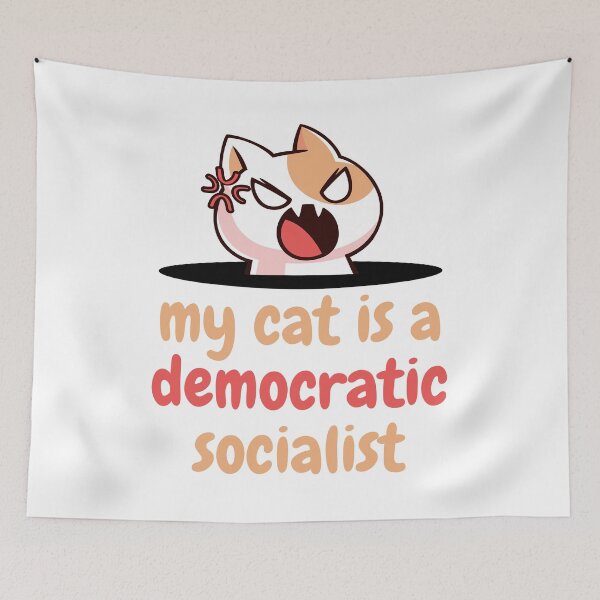 Item preview, my cat is a democratic socialist : meme cat designed and sold by MokonoKokoro.