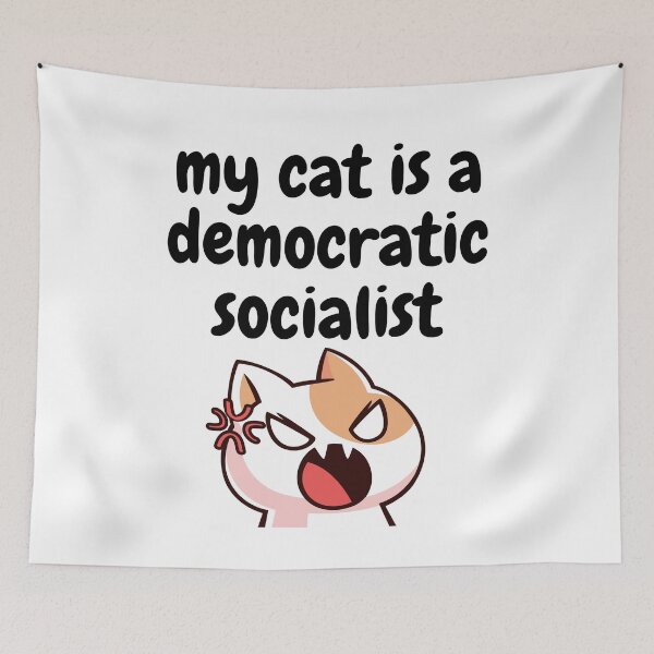 Item preview, my cat is a democratic socialist : meme cat designed and sold by MokonoKokoro.