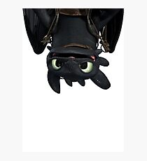 Toothless Photographic Print