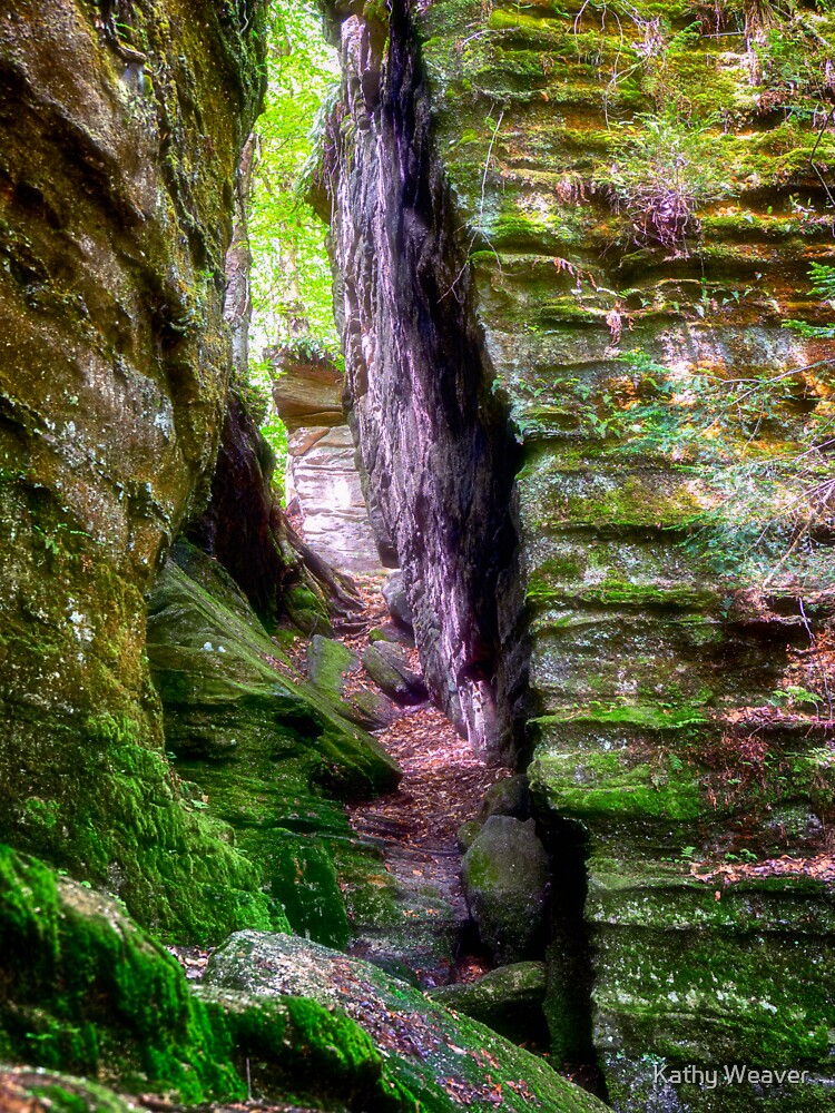 Rocks -- Moss/Lichen