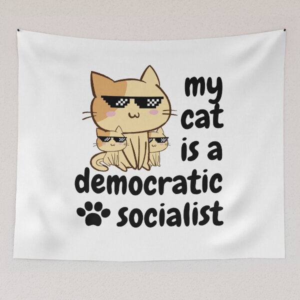 Item preview, my cat is a democratic socialist : meme cat designed and sold by MokonoKokoro.