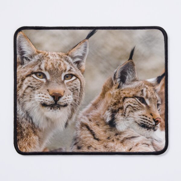 Item preview, Eurasian lynx pair  designed and sold by Martin Leber.