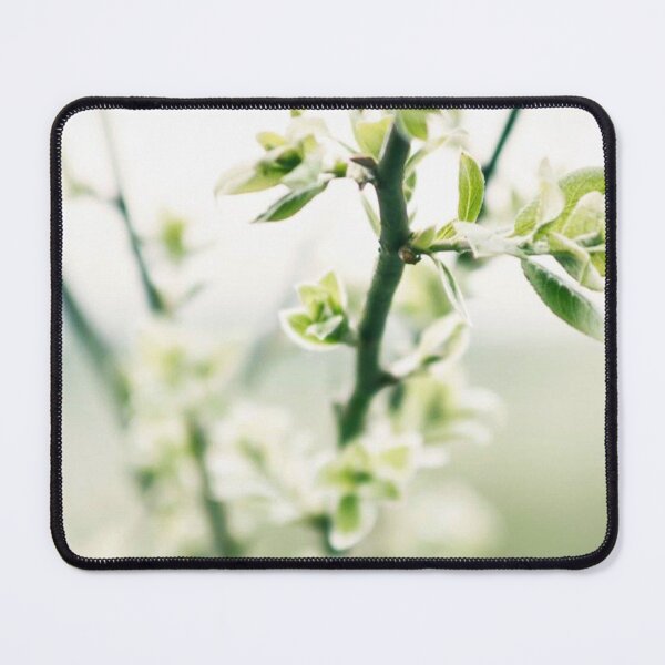 Item preview, green plant designed and sold by Francespoppy.