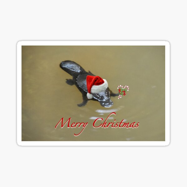 Item preview, Platy Christmas designed and sold by lhowden.