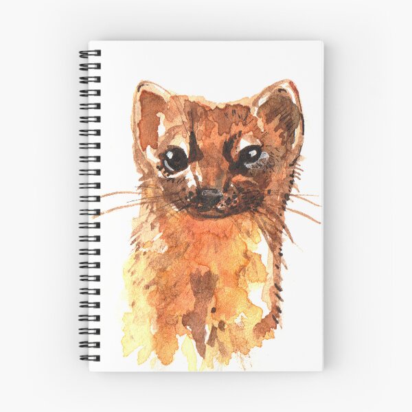 Item preview, American Pine Marten Sketch designed and sold by belettelepink.