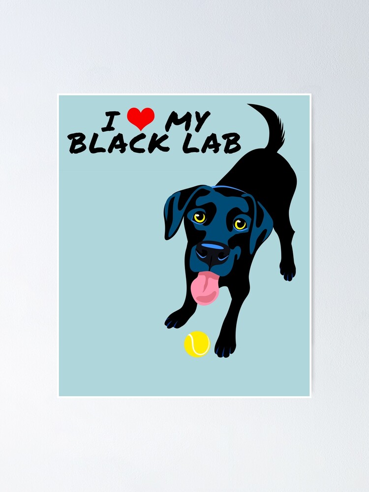 i love my black lab