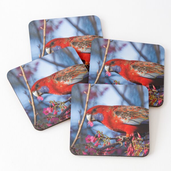 Item preview, Crimson Rosella with Cherry blossoms designed and sold by theleastone.