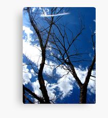 Scary Movie Trees Canvas Print