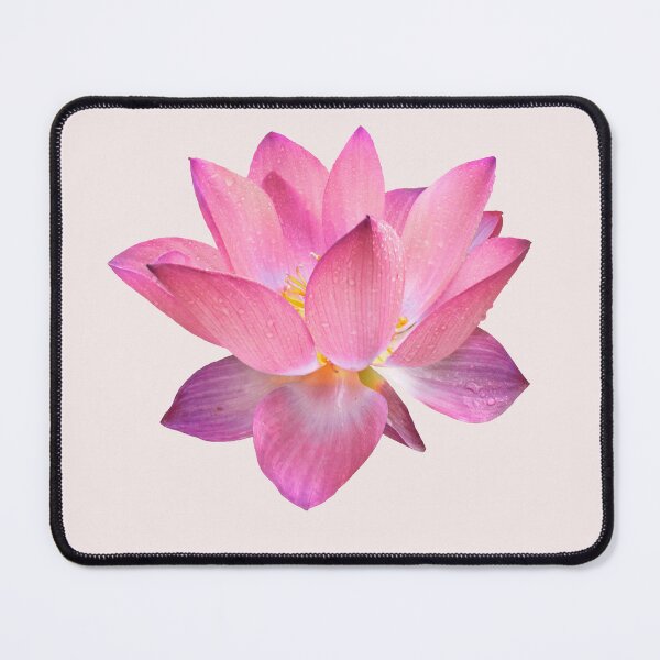 Item preview, Lotus Silk Lotus Flower designed and sold by Maystro-design.